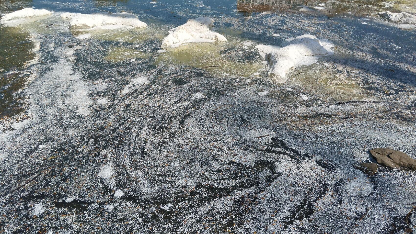 Фото: Евгения Кобеева / It's My City