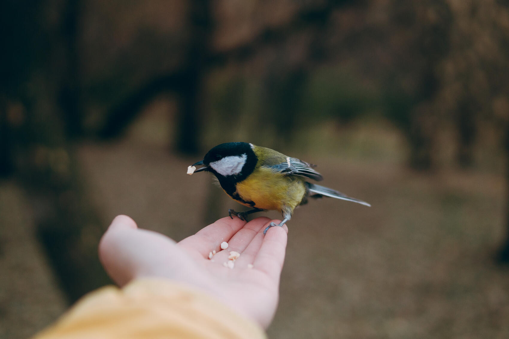 Фото: Елена Елизарова / It's My City