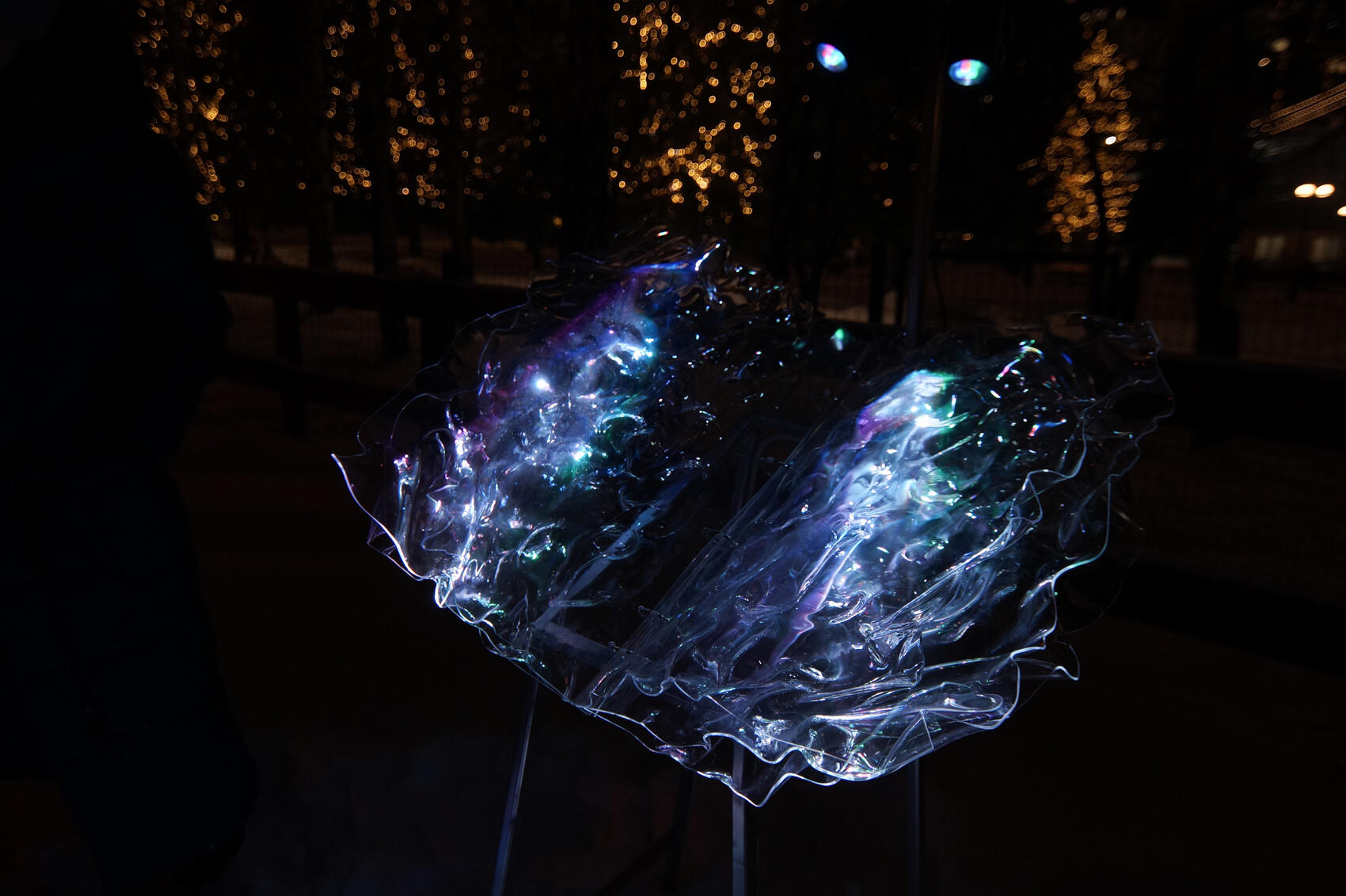 Фото: Елена Елизарова / It's My City