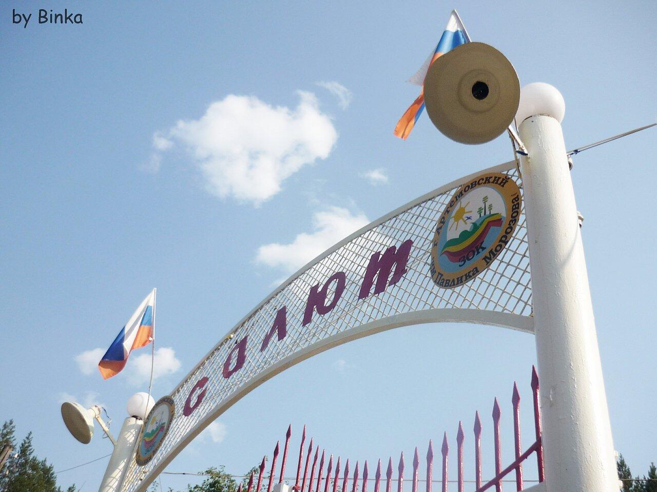 Фото: группа лагеря «Салют» во ВКонтакте