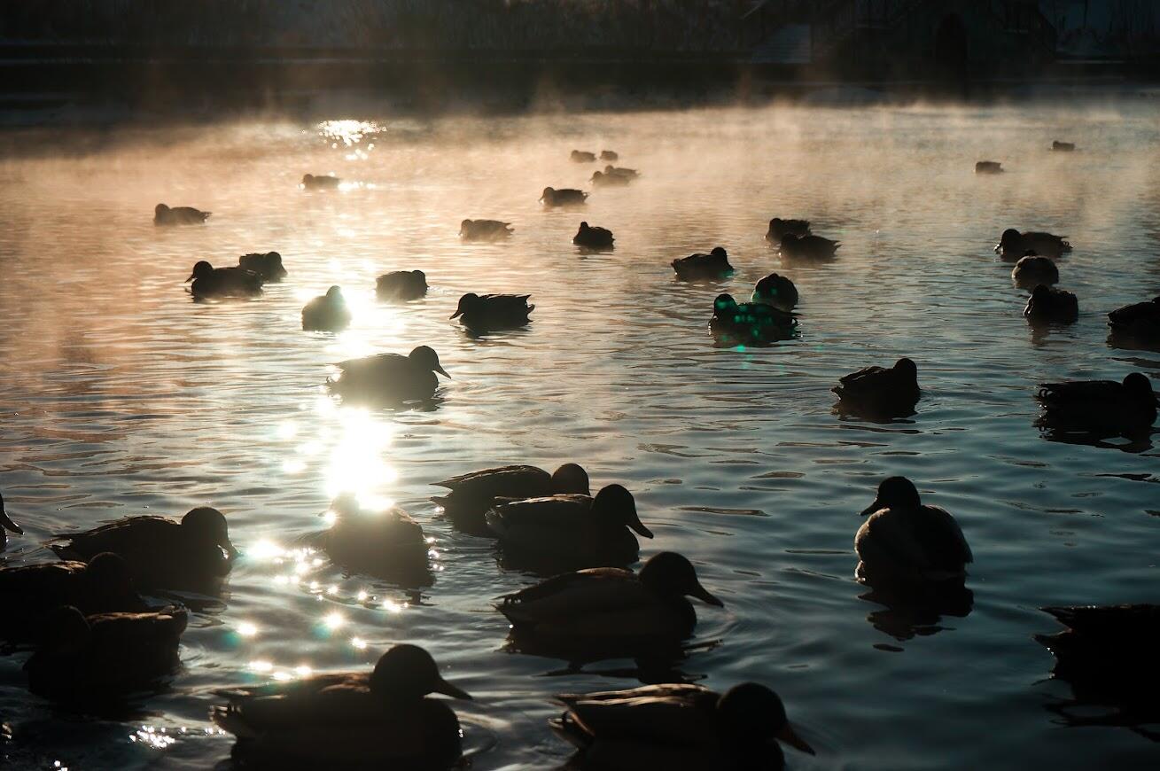 Фото: Арина Томашова / It's My City