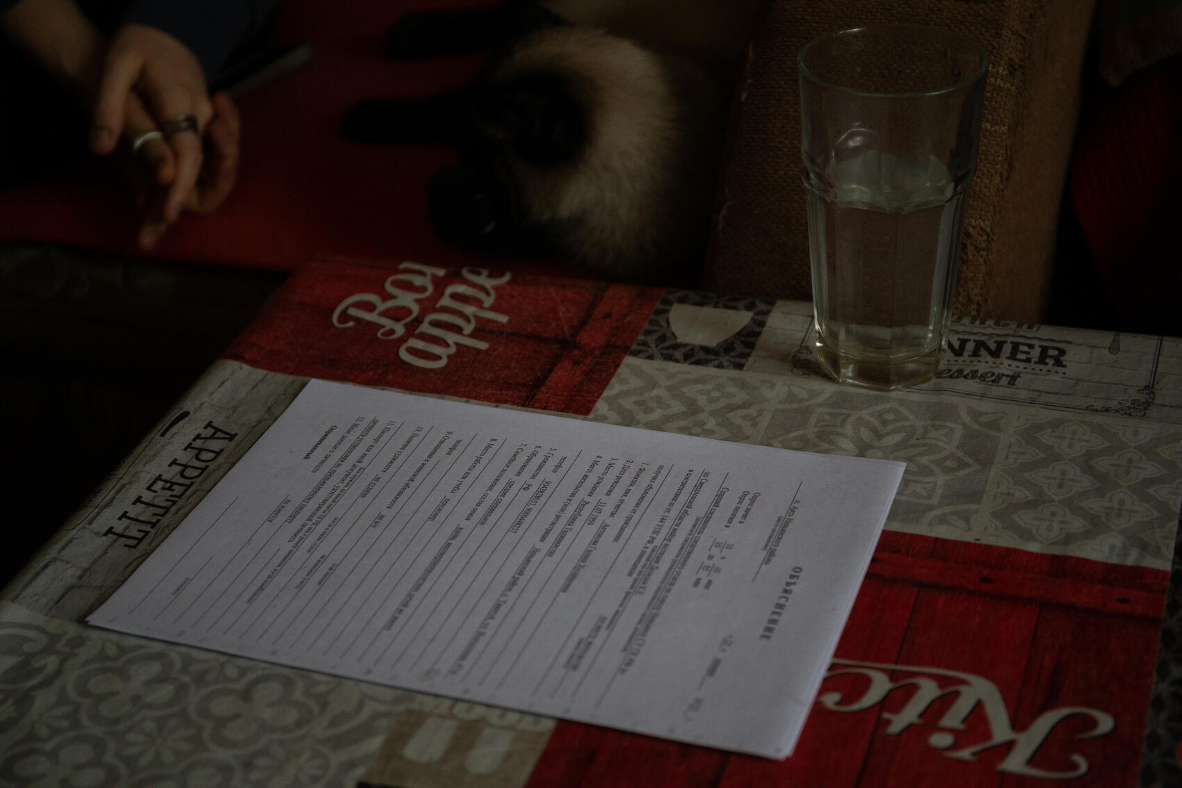 Фото: Илья Вага / It’s My City