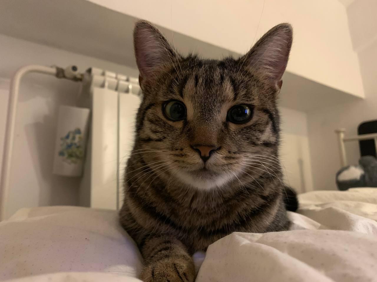 Фото: предоставлено Полиной