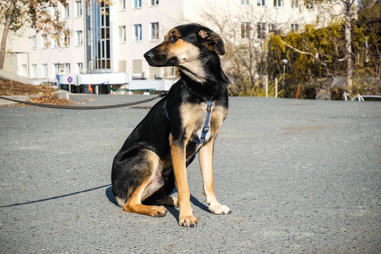 Фото: Саша Зубковский / It's My City