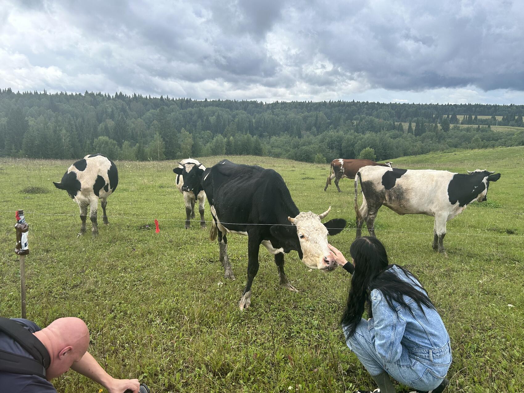 Фото: It's My City