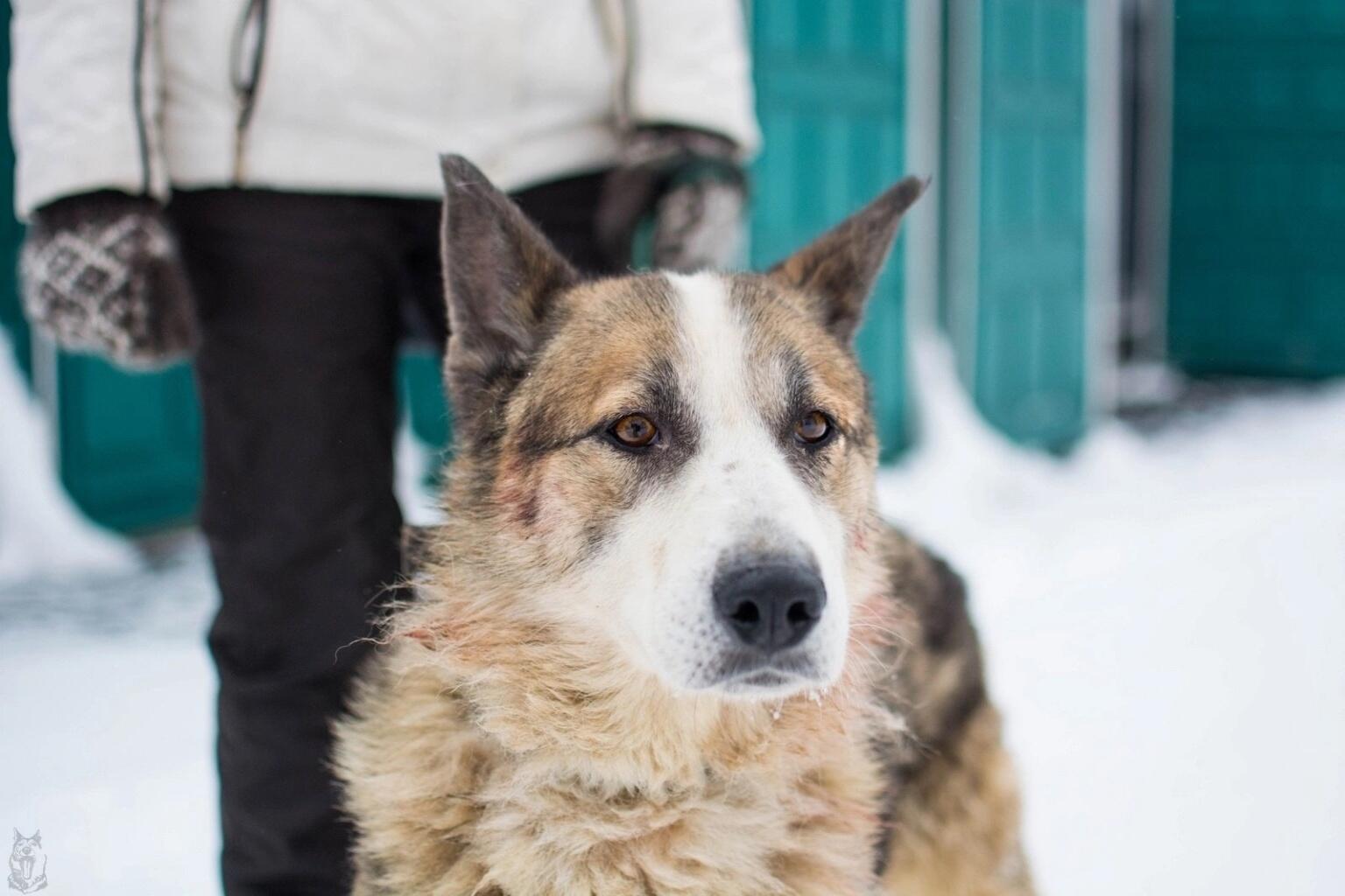 Фото: фонд «Зоозащита»