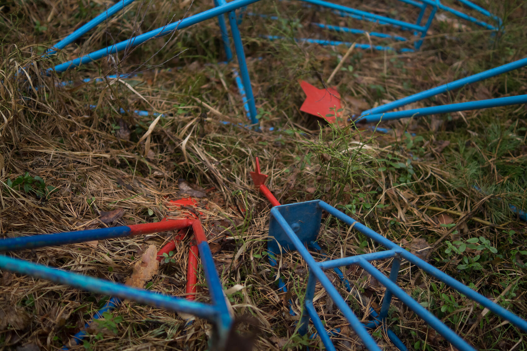 Фото: Елена Елизарова / It's My City