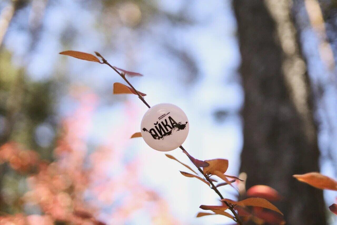 Источник фото: группа фестиваля «Ойка» ВКонтакте