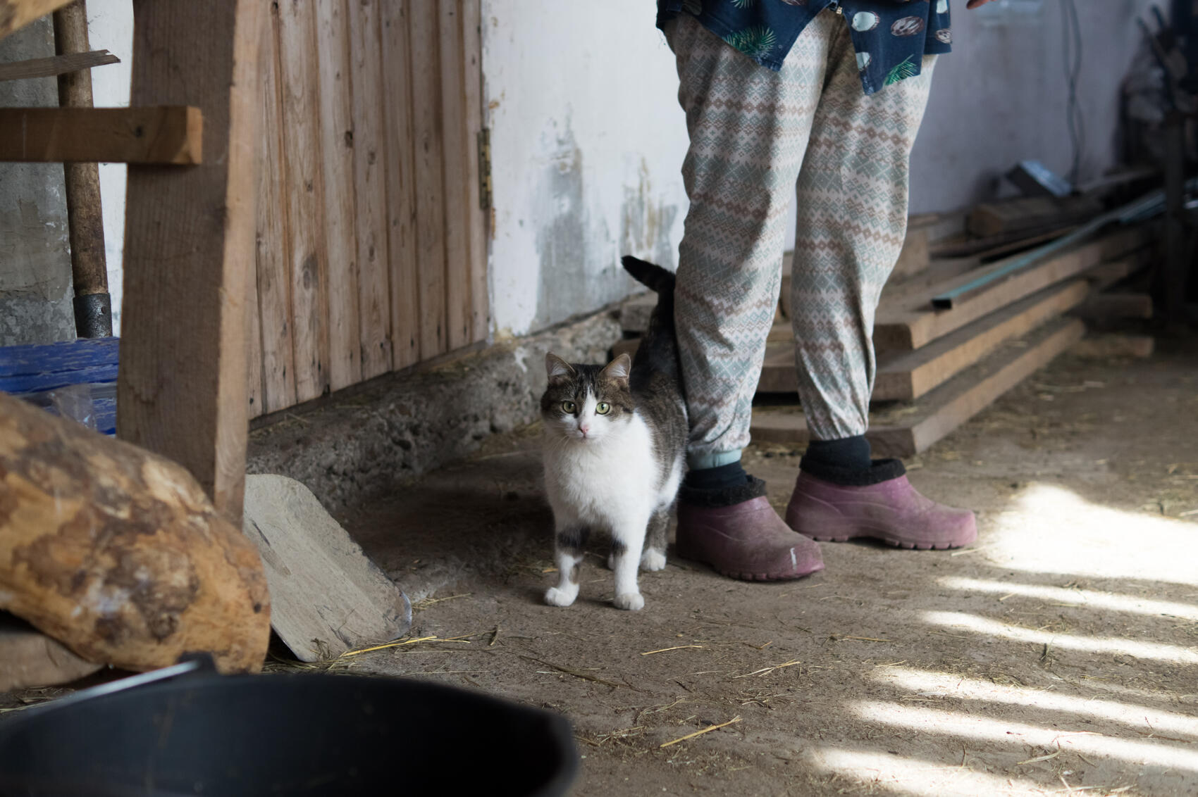 Фото: Елена Елизарова / It’s My&nbsp;City