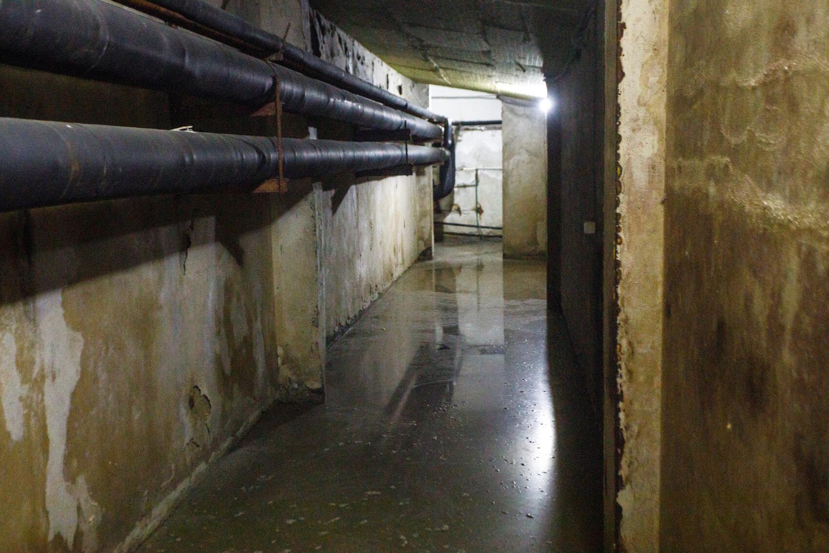 Фото: It’s My City