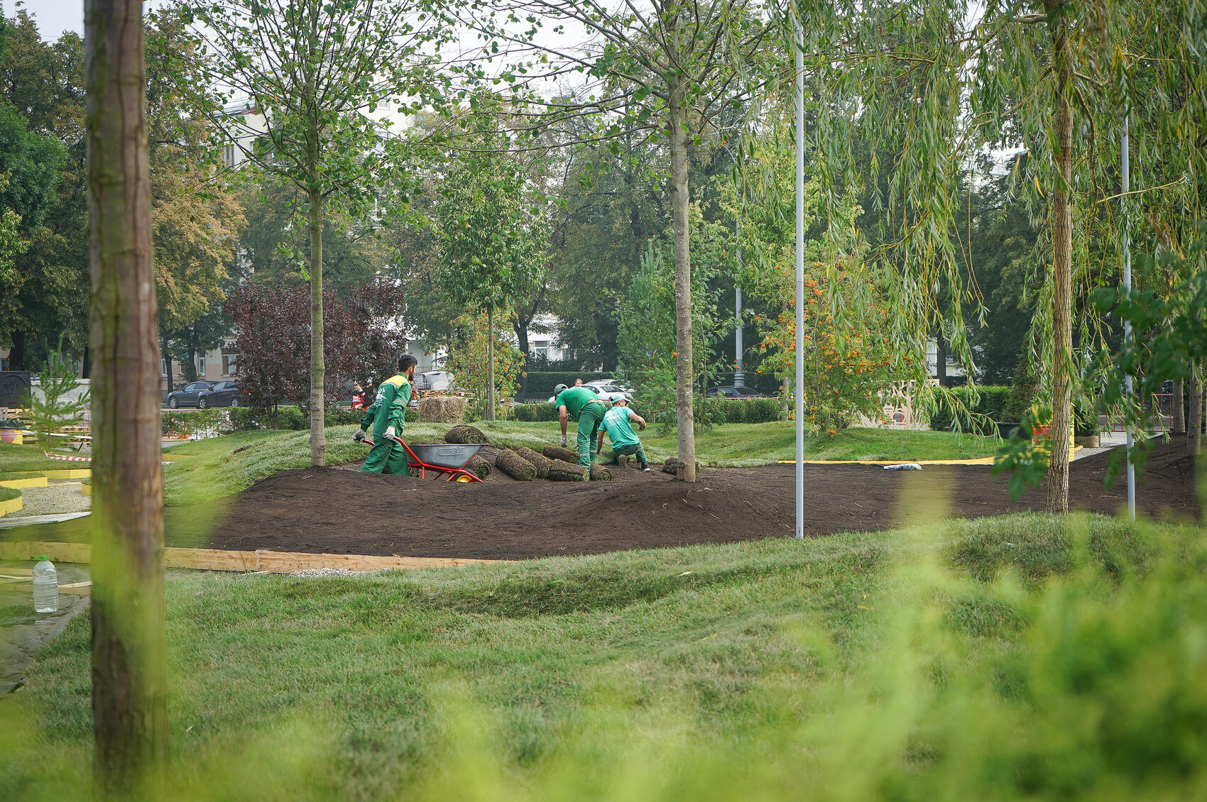 Временный сад на площади 1905 года еще создают, он откроется 14 августа. Фото: Арина Томашова / It's My City