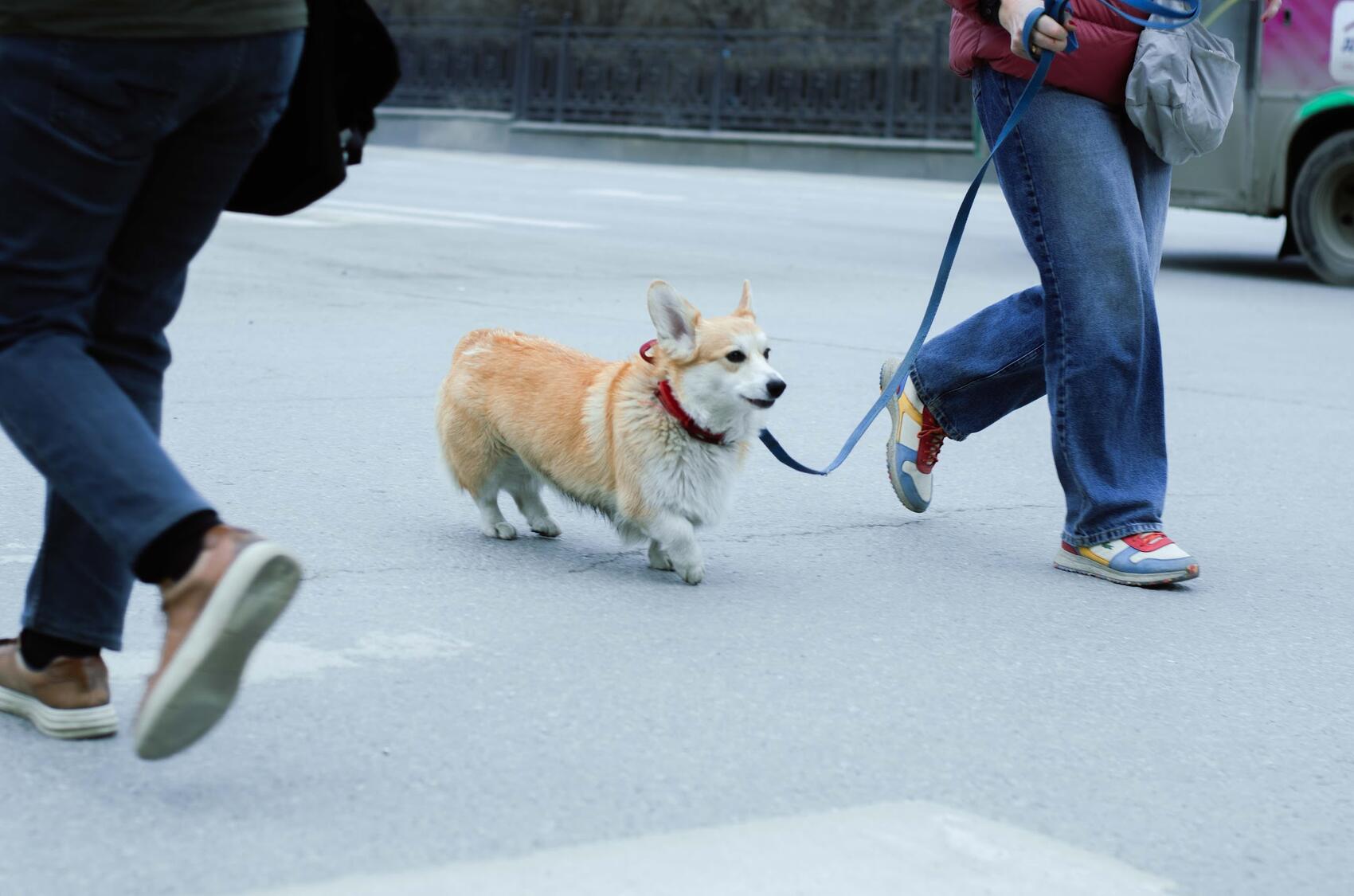 Фото: It's My City