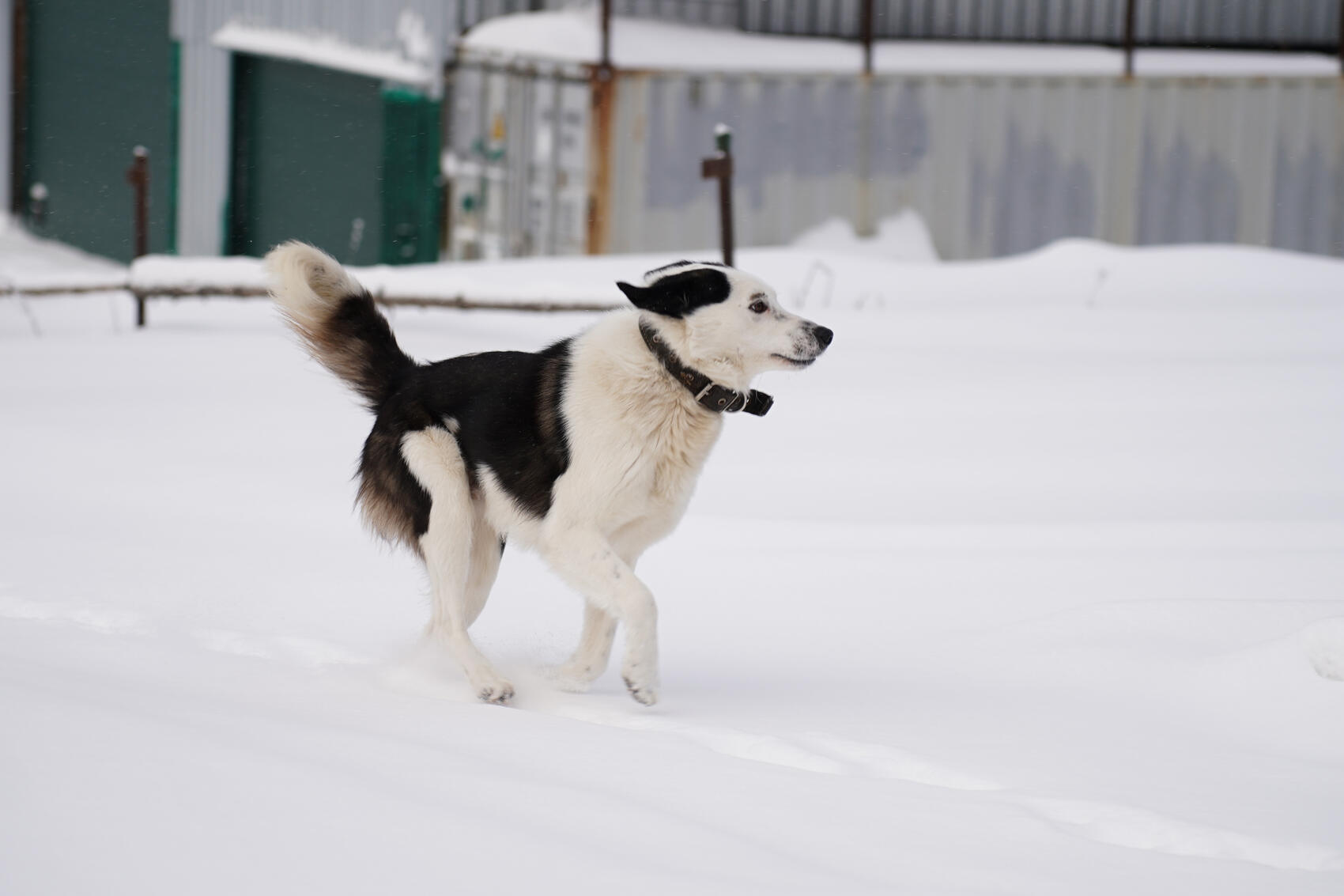 Фото: Елена Елизарова / It’s My City