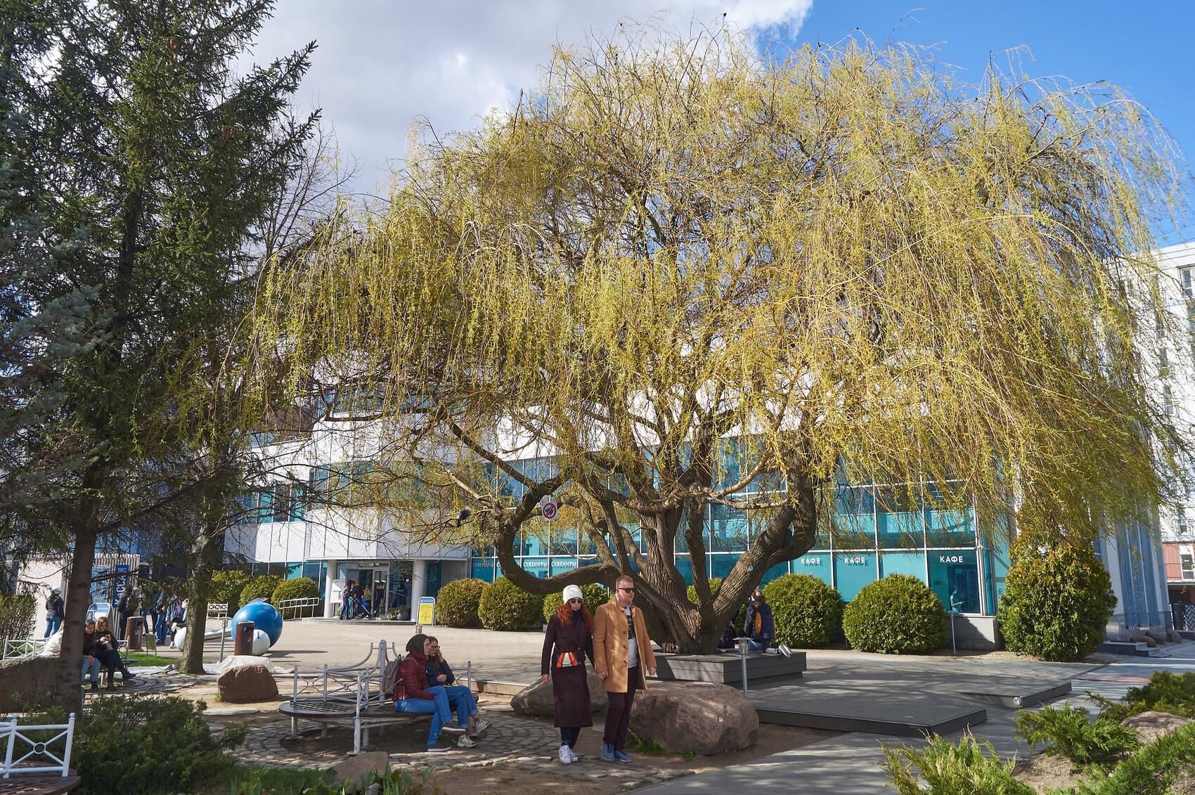 Городской парк на другой стороне набережной 