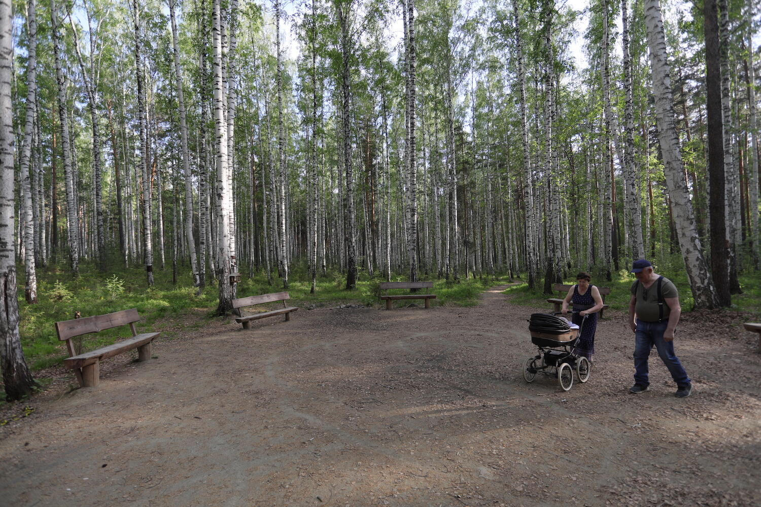 Скамейки в лесу находятся на большом расстоянии от жилых домов. Фото: Марина Молдавская / It's My City