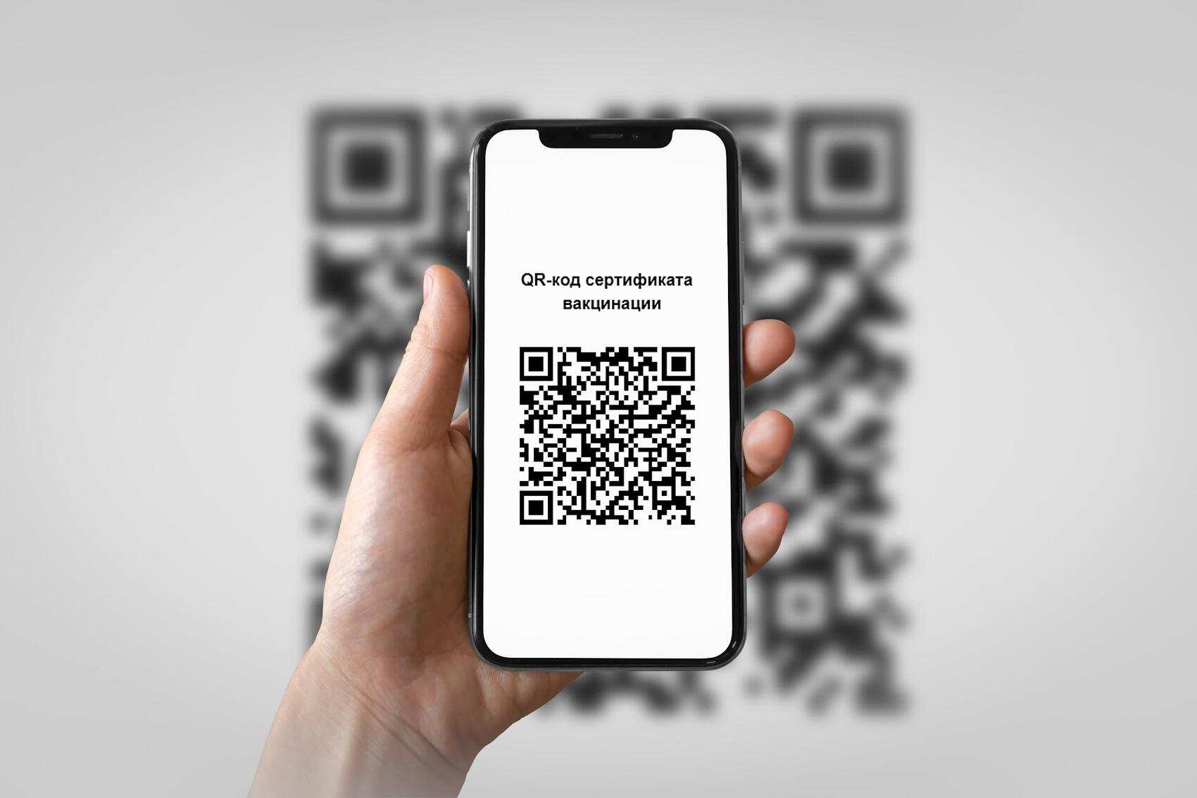 Фото: Игорь Брук / It's My City