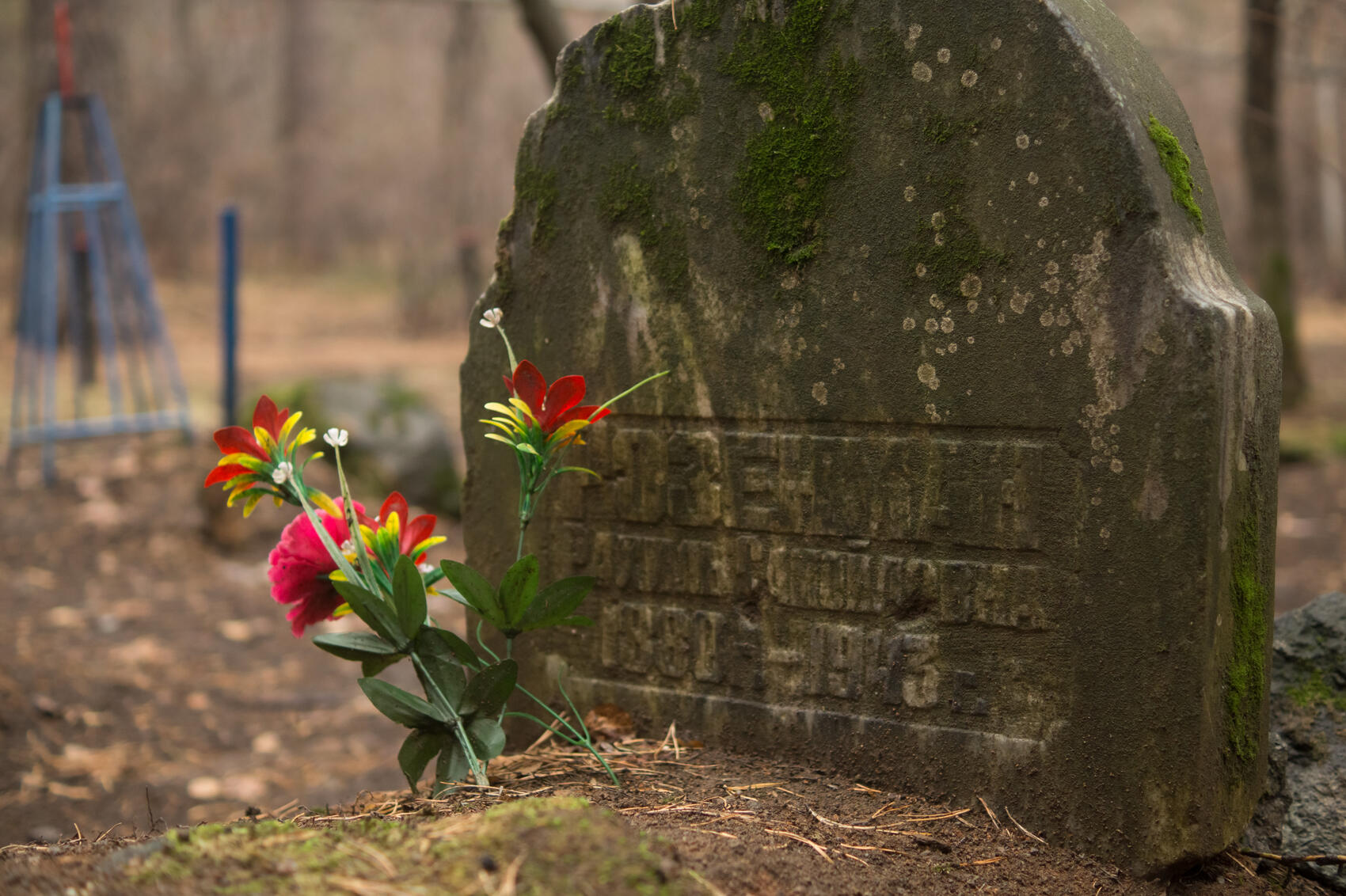 Фото: Елена Елизарова / It's My City