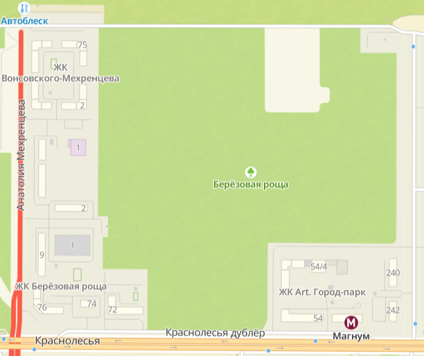Березовая роща сегодня. Скриншот из карт 2ГИС