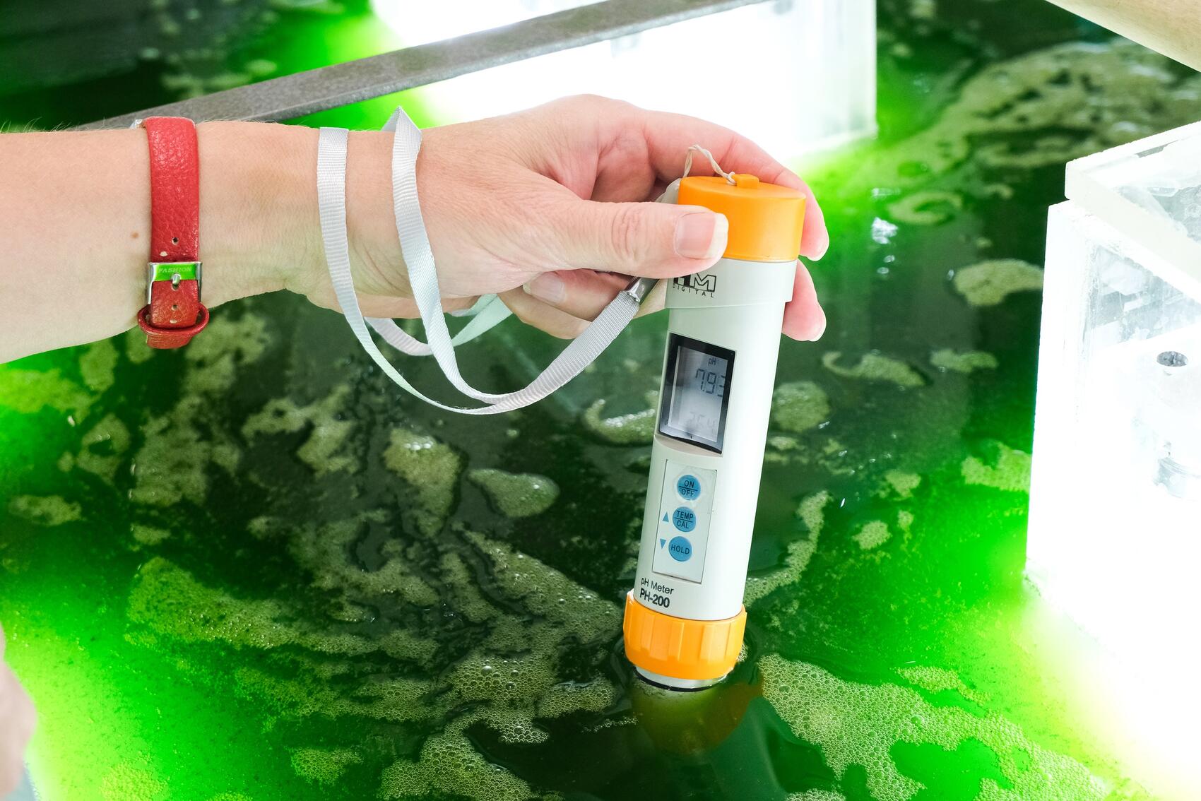 Фото: Саша Зубковский / It's My City