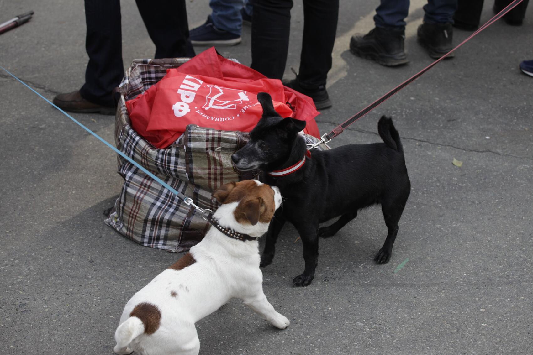 Фото: Игорь Брук / IMC