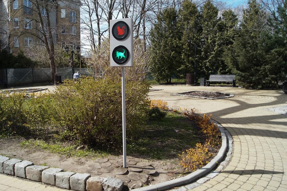 Котосветофор на аллее Курортного проспекта