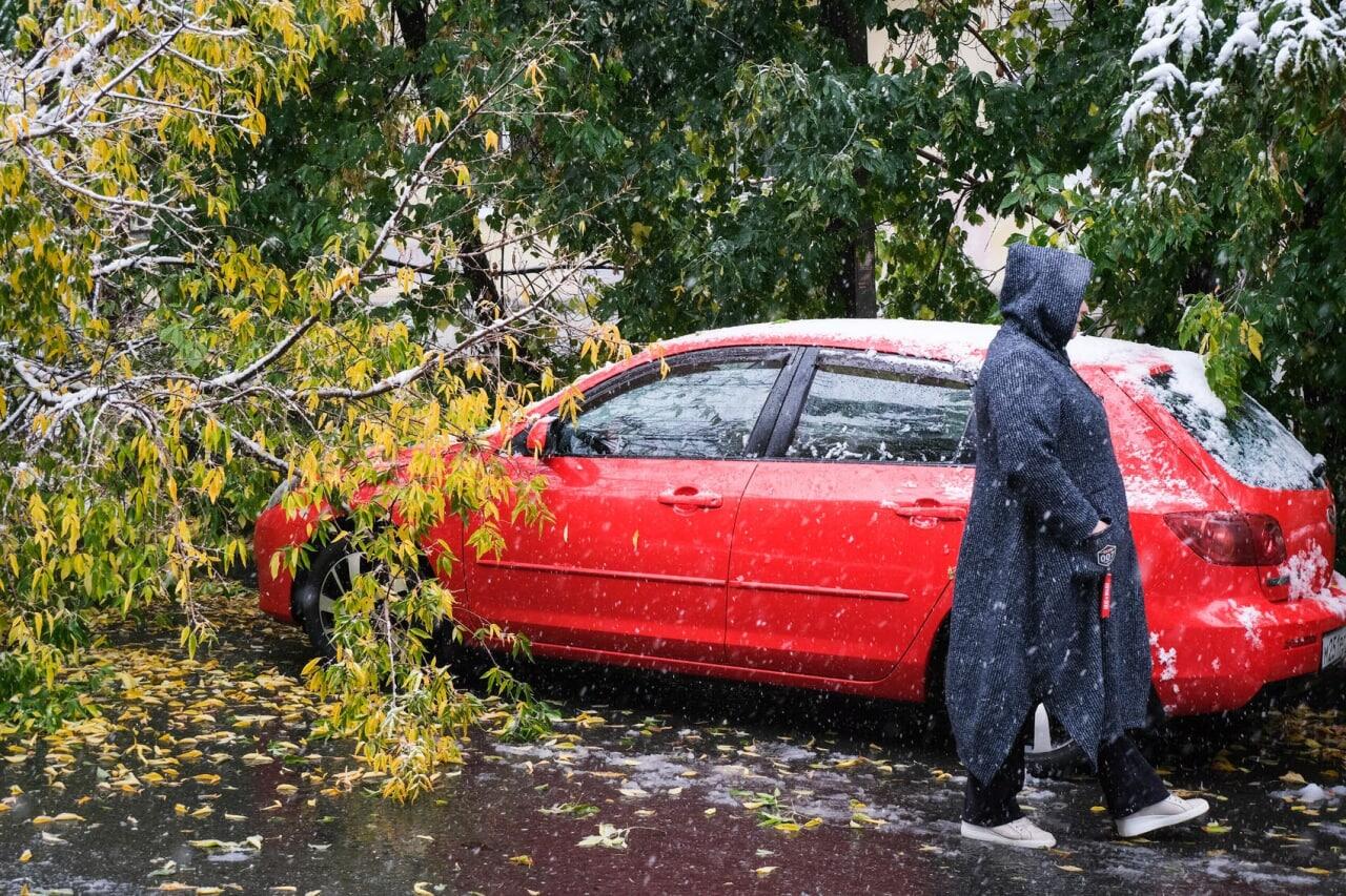 Саша Зубковский / It's My City