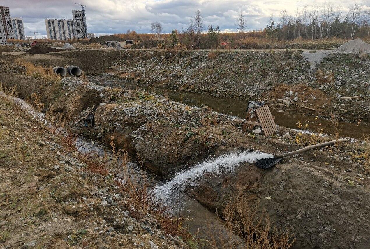 екатеринбург река патрушиха