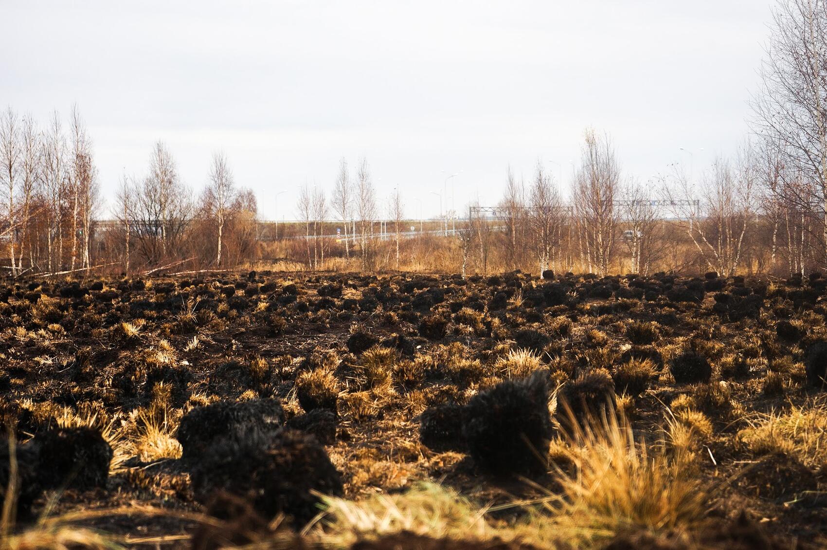 Фото: Арина Томашова / It's My City