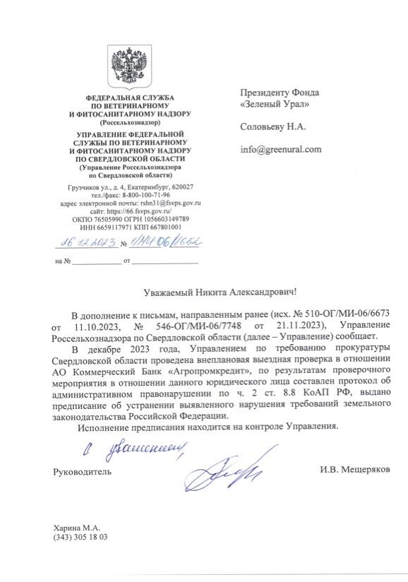 Фото: Никита Соловьев