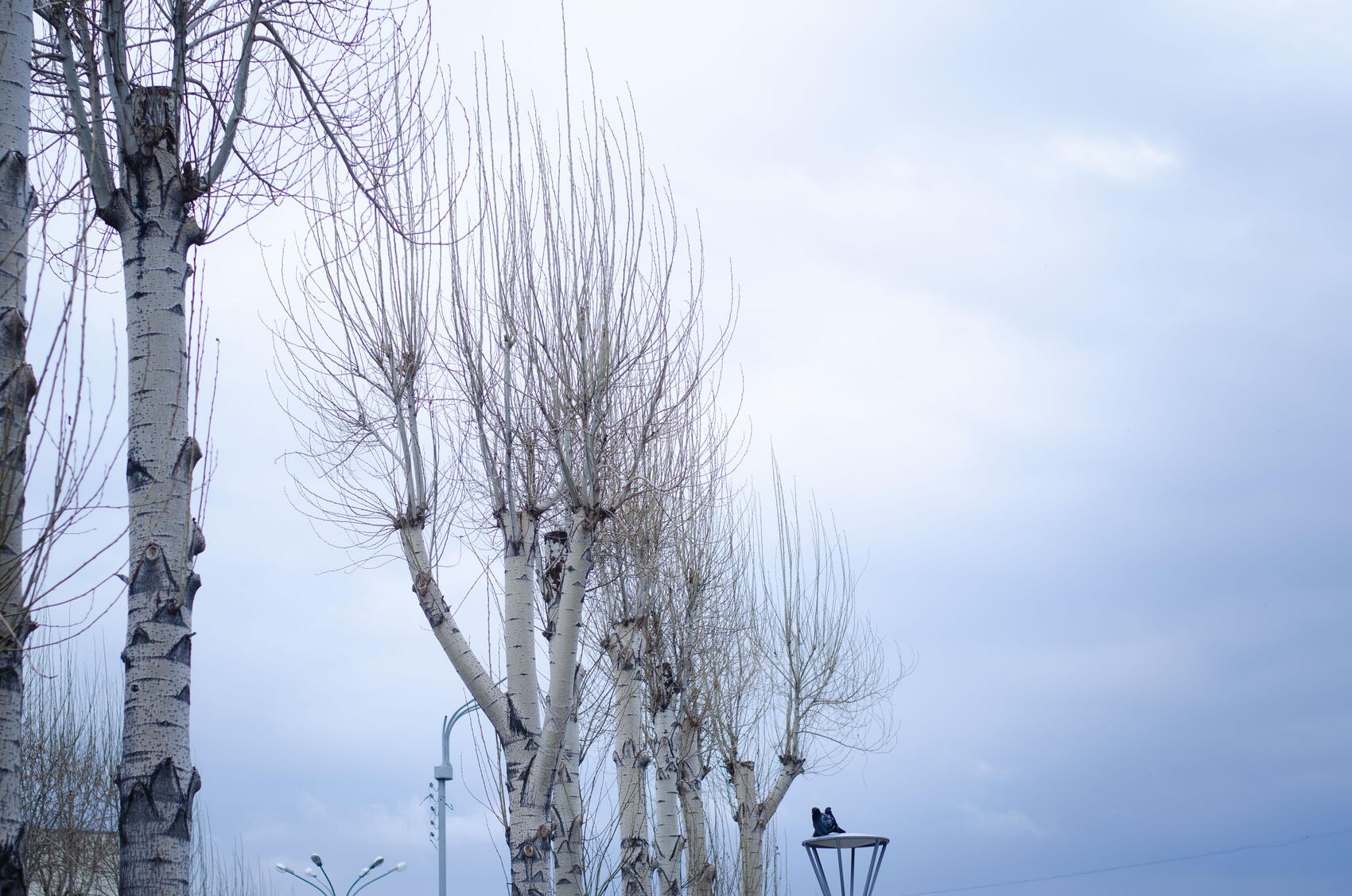 Фото: Евгения Кобеева / It’s My City