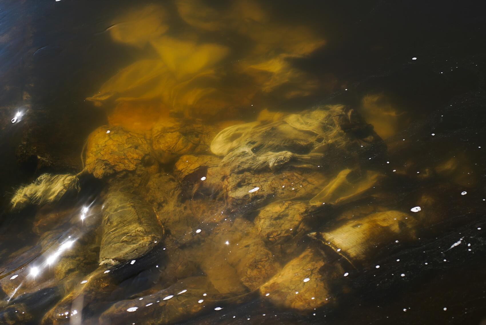 Фото: It's My City