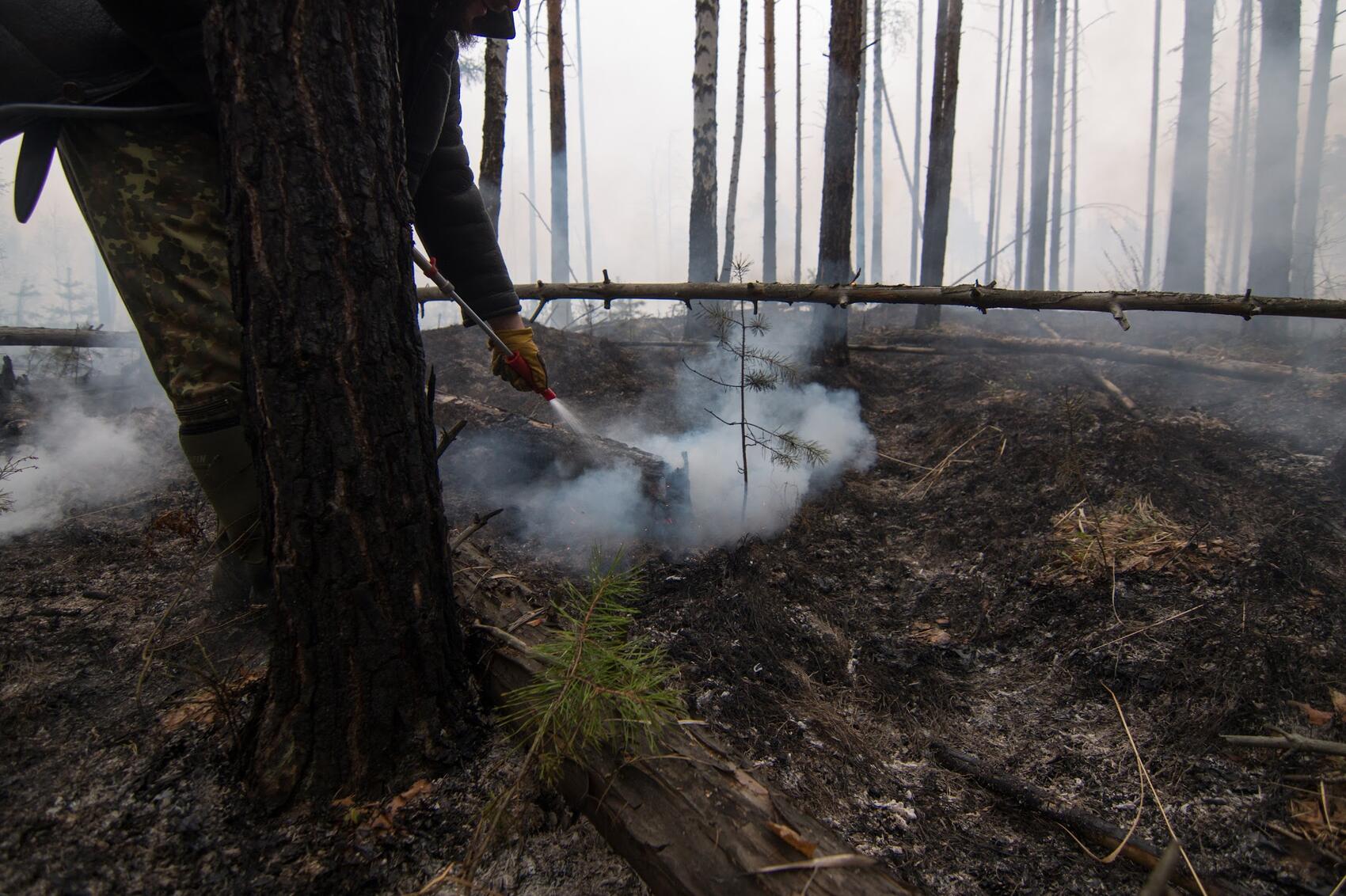 Фото: It's My City