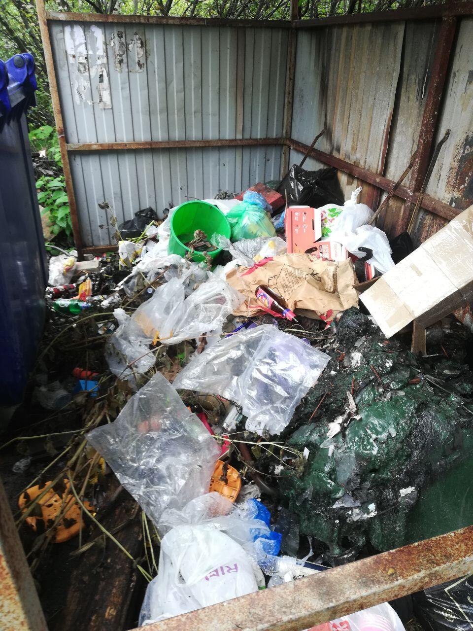 Фото: читательница It's My City