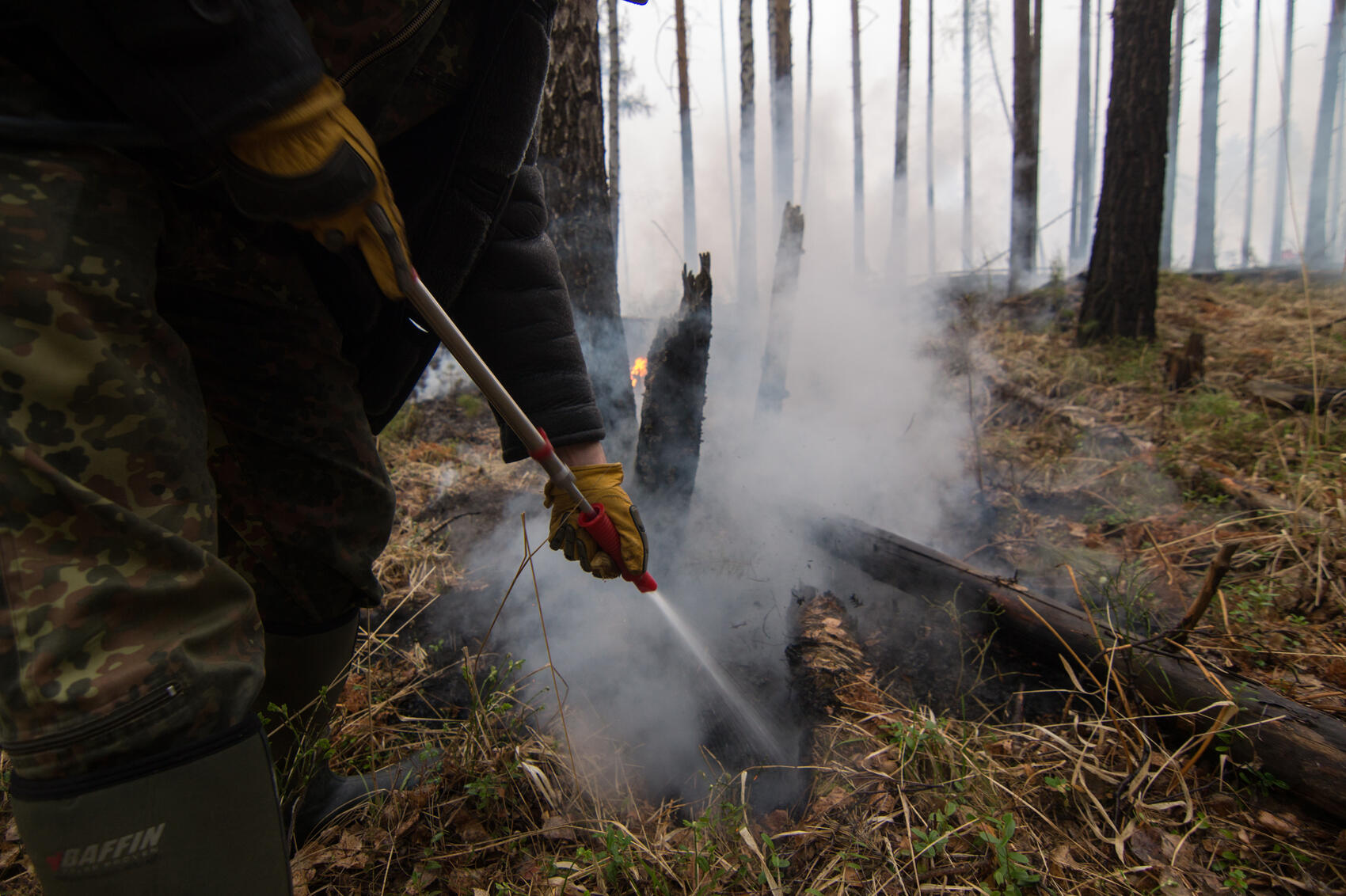 Фото: Елена Елизарова / It's My City