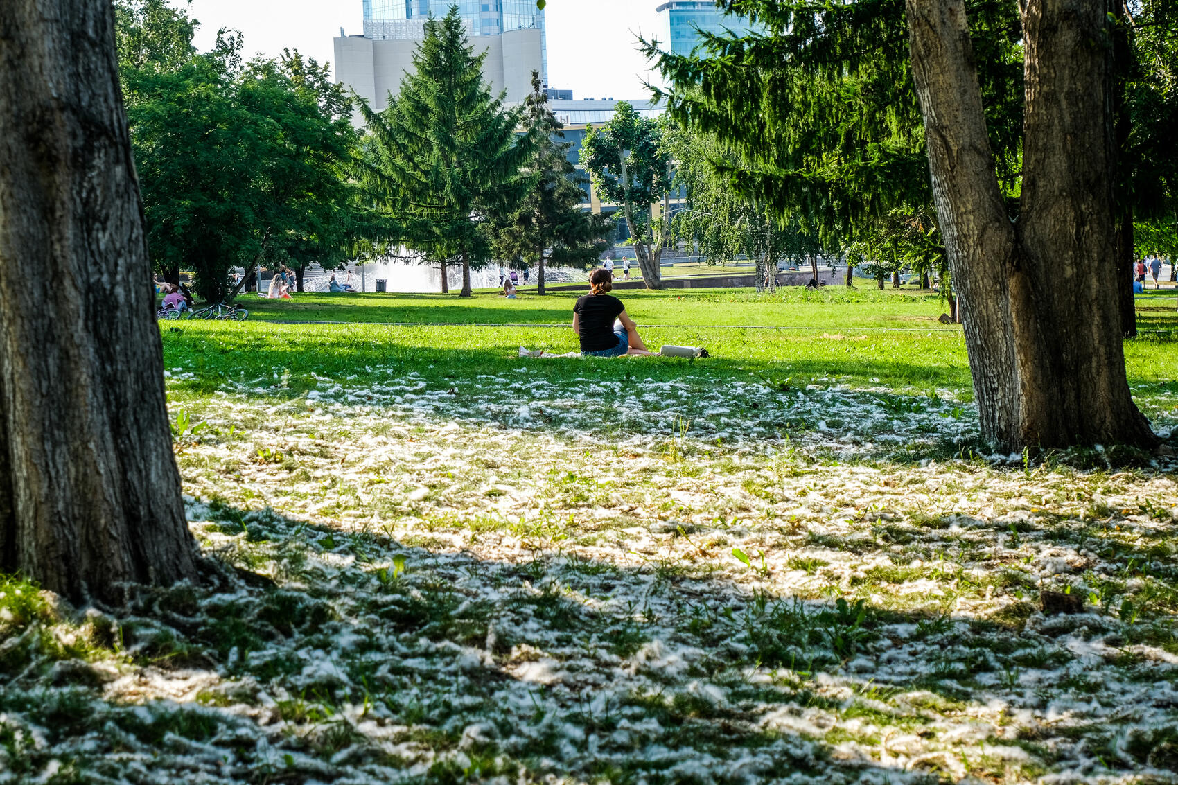 Фото: Саша Зубковский / It's My City