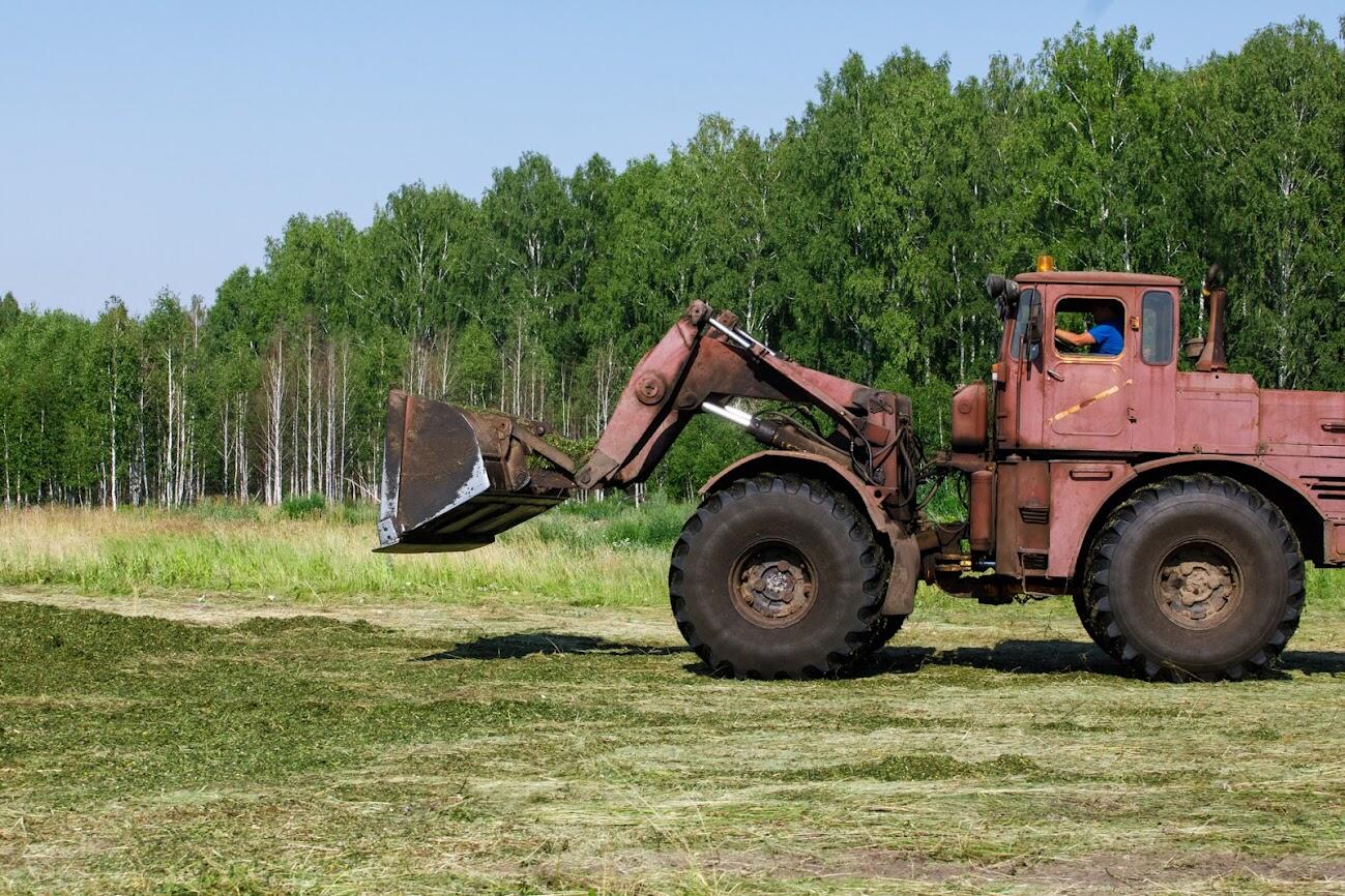 Фото: Марина Молдавская / It's My City