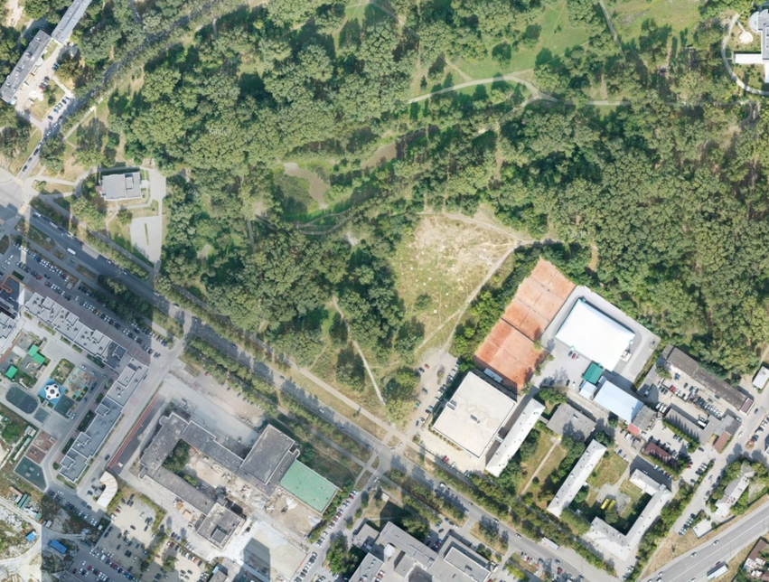 Для строительства общежития потребуется вырубить часть деревьев с южной стороны парка. Фото: «Яндекс Карты»