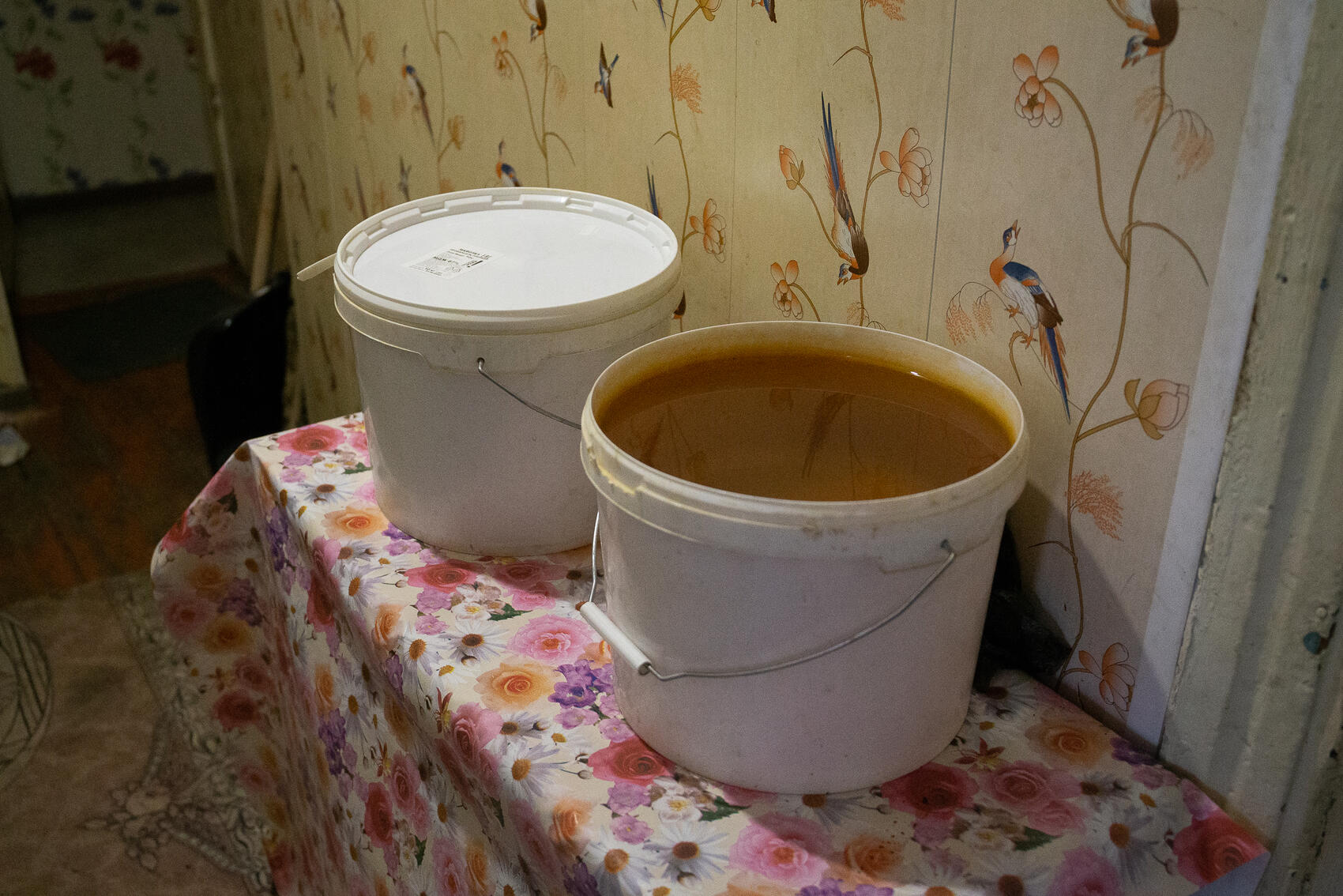 Фото: Илья Вага / It’s My City