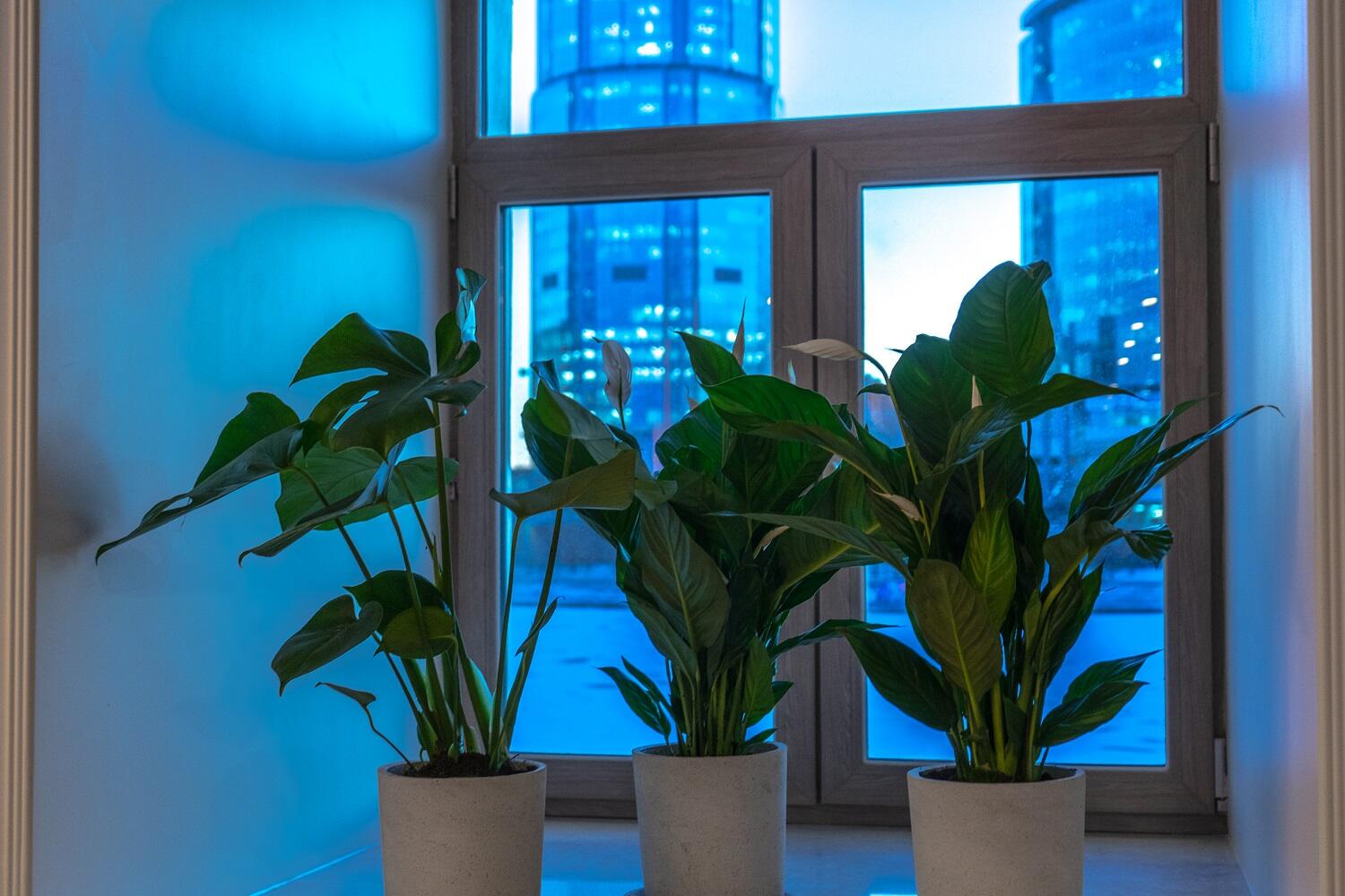 Фото: Арина Томашова / It's My City