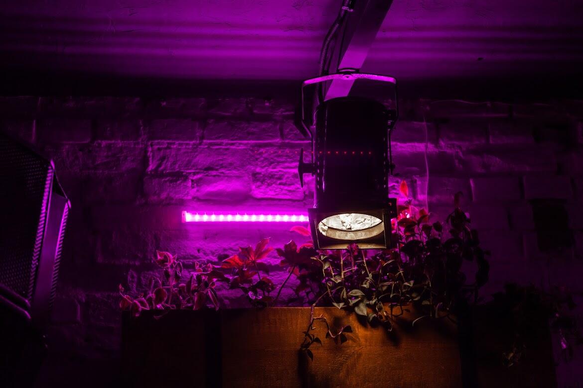 Фото: Игорь Брук / It's My City