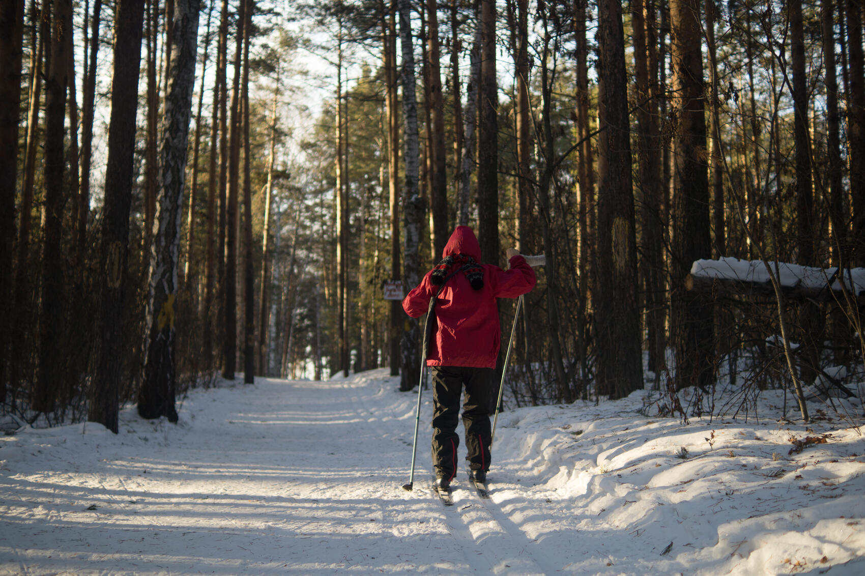 Фото: Елена Елизарова / It’s My&nbsp;City