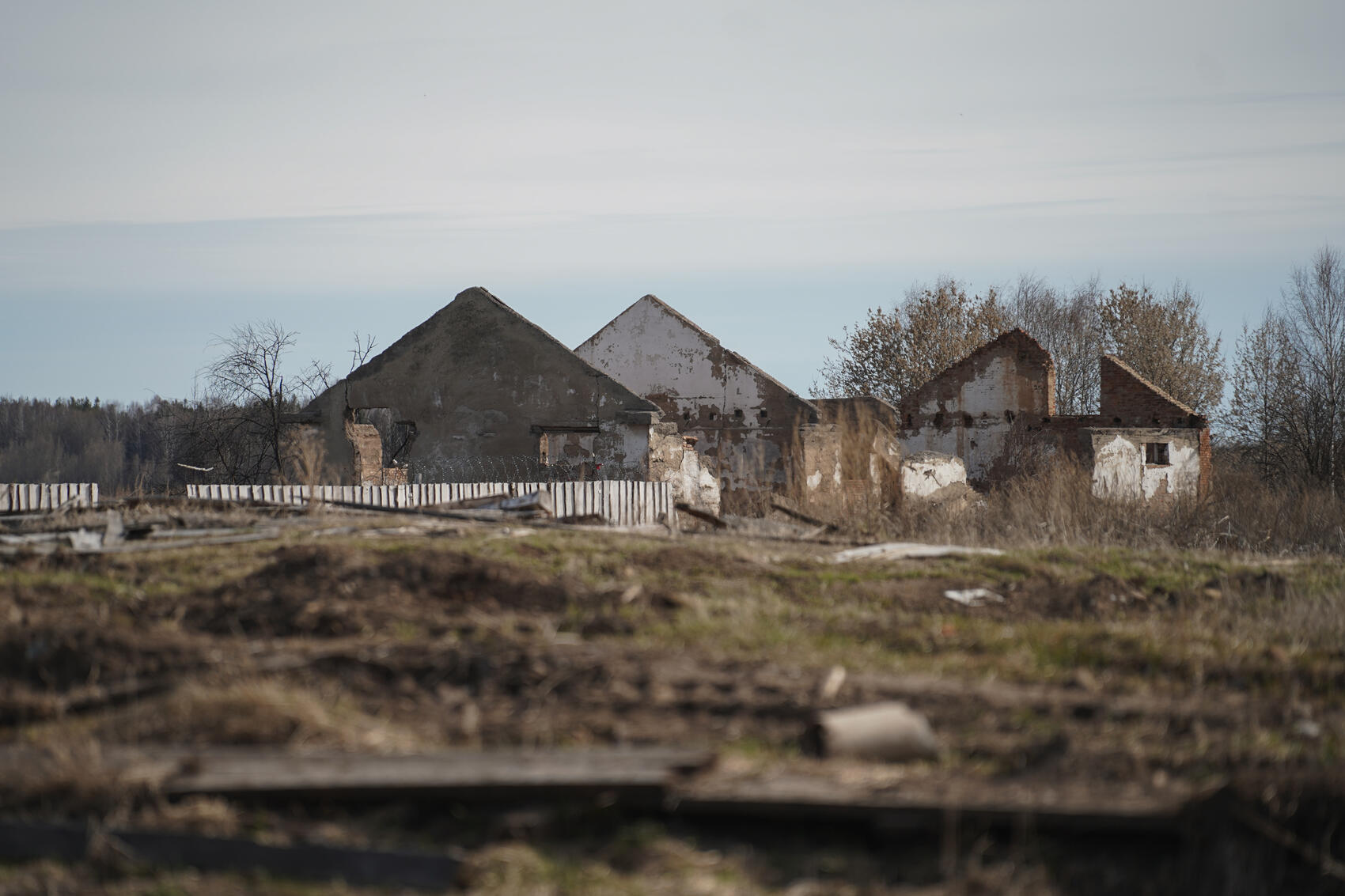 Фото: Елена Елизарова / It's My City