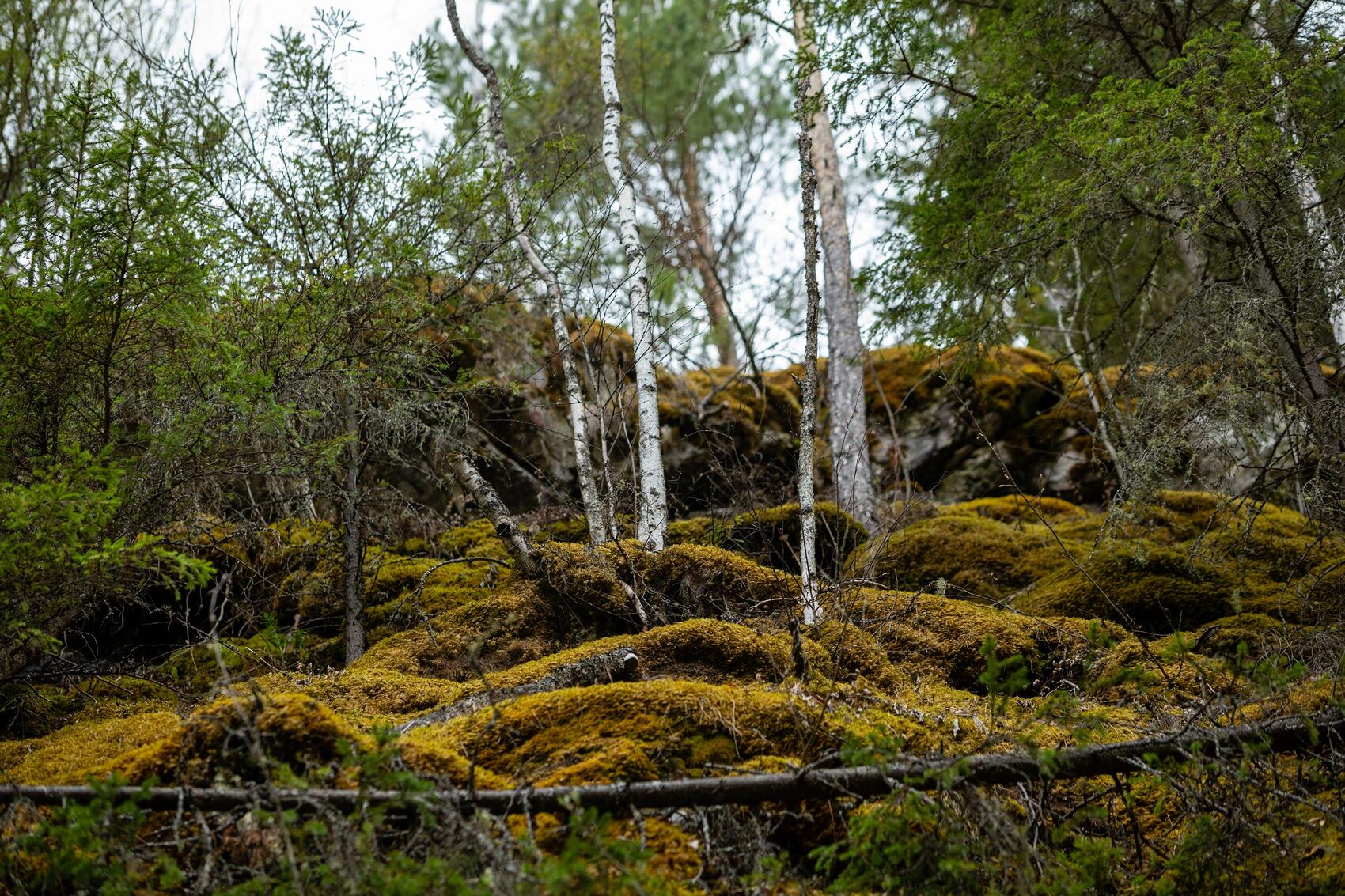 Фото: Илья Вага / It's My City