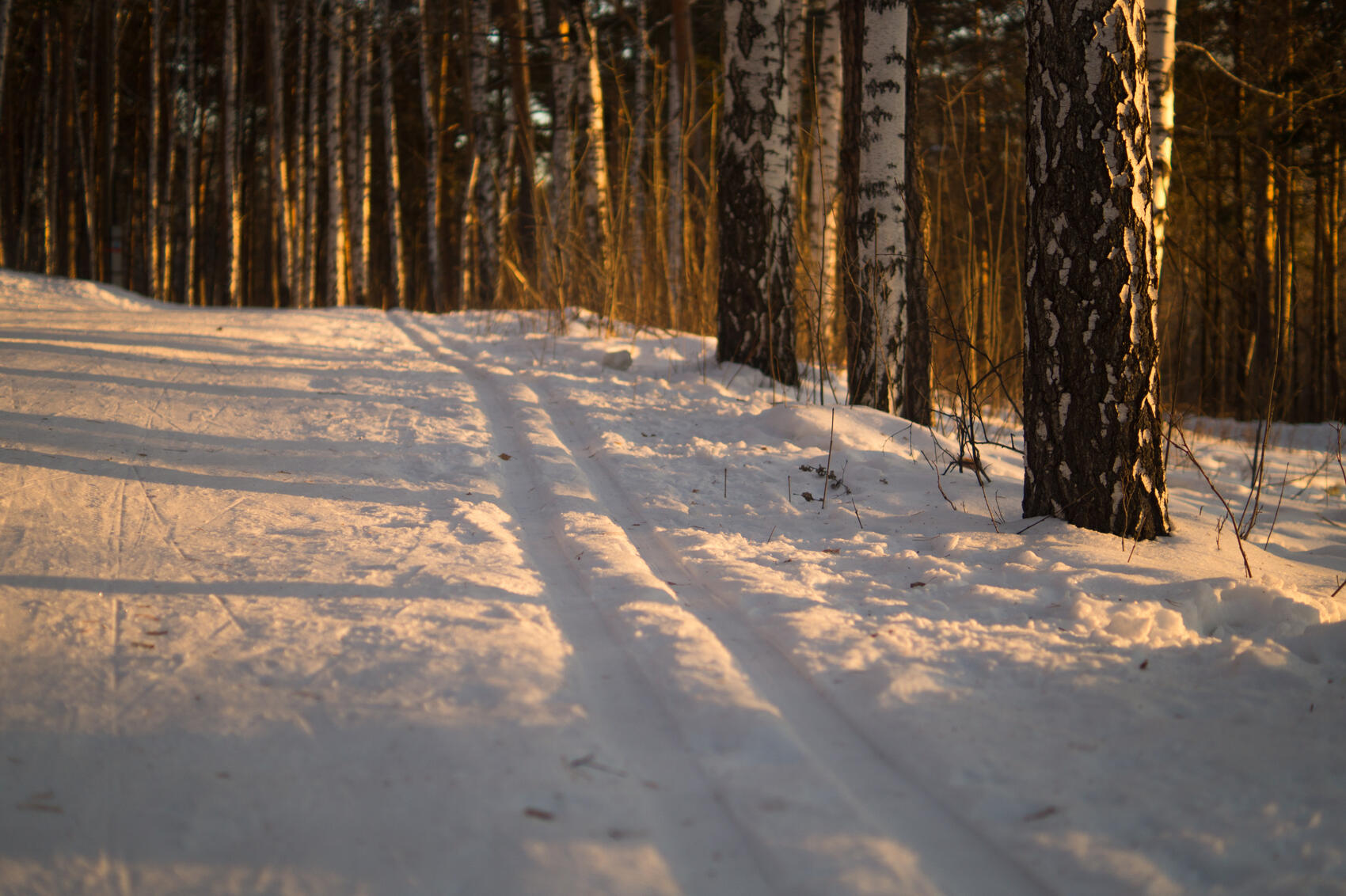 Фото: Елена Елизарова / It’s My&nbsp;City