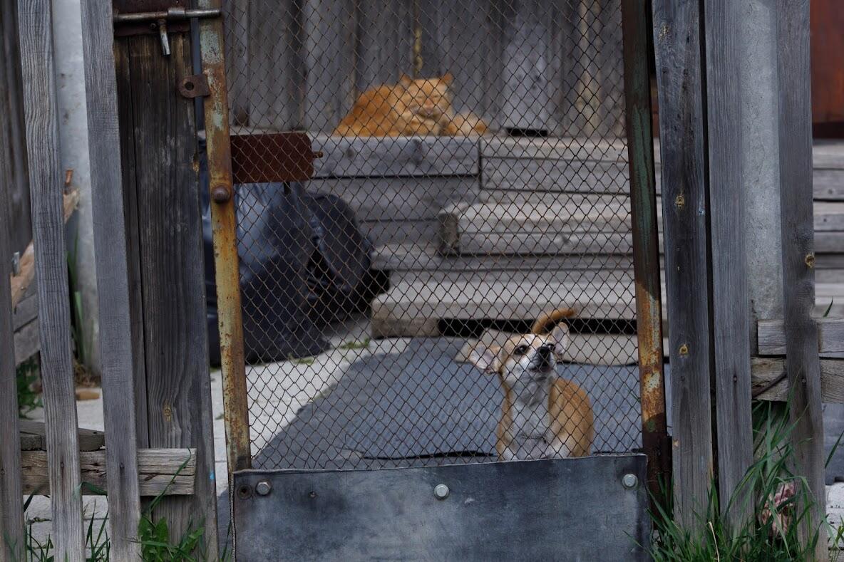 Фото: Марина Молдавская / It's My City