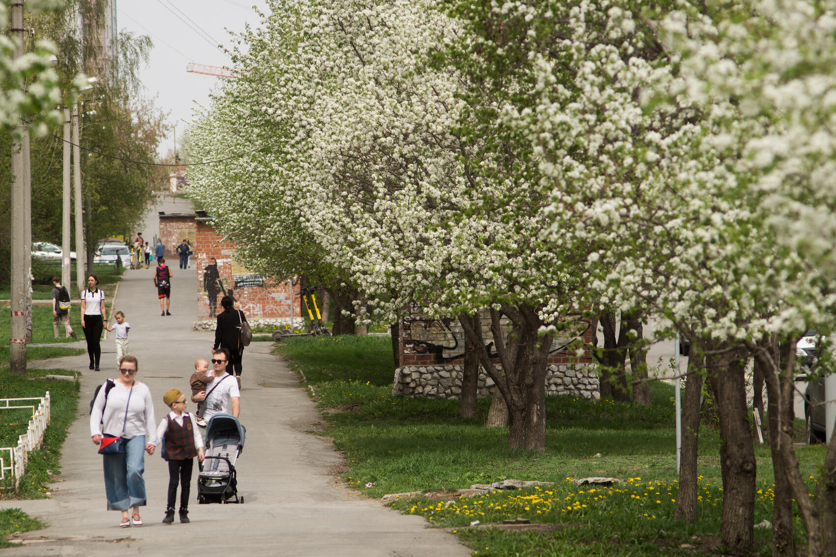 Фото: Елена Елизарова / It’s My&nbsp;City