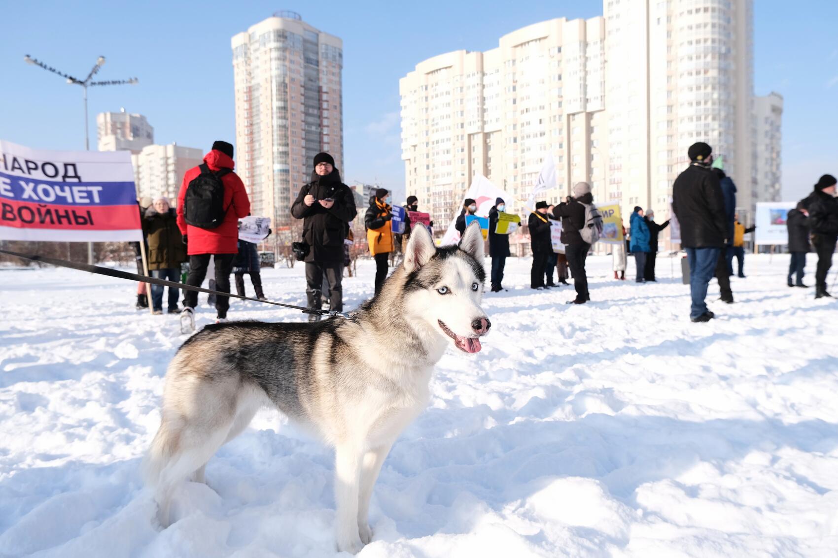 Фото: Саша Зубковский / It's My City