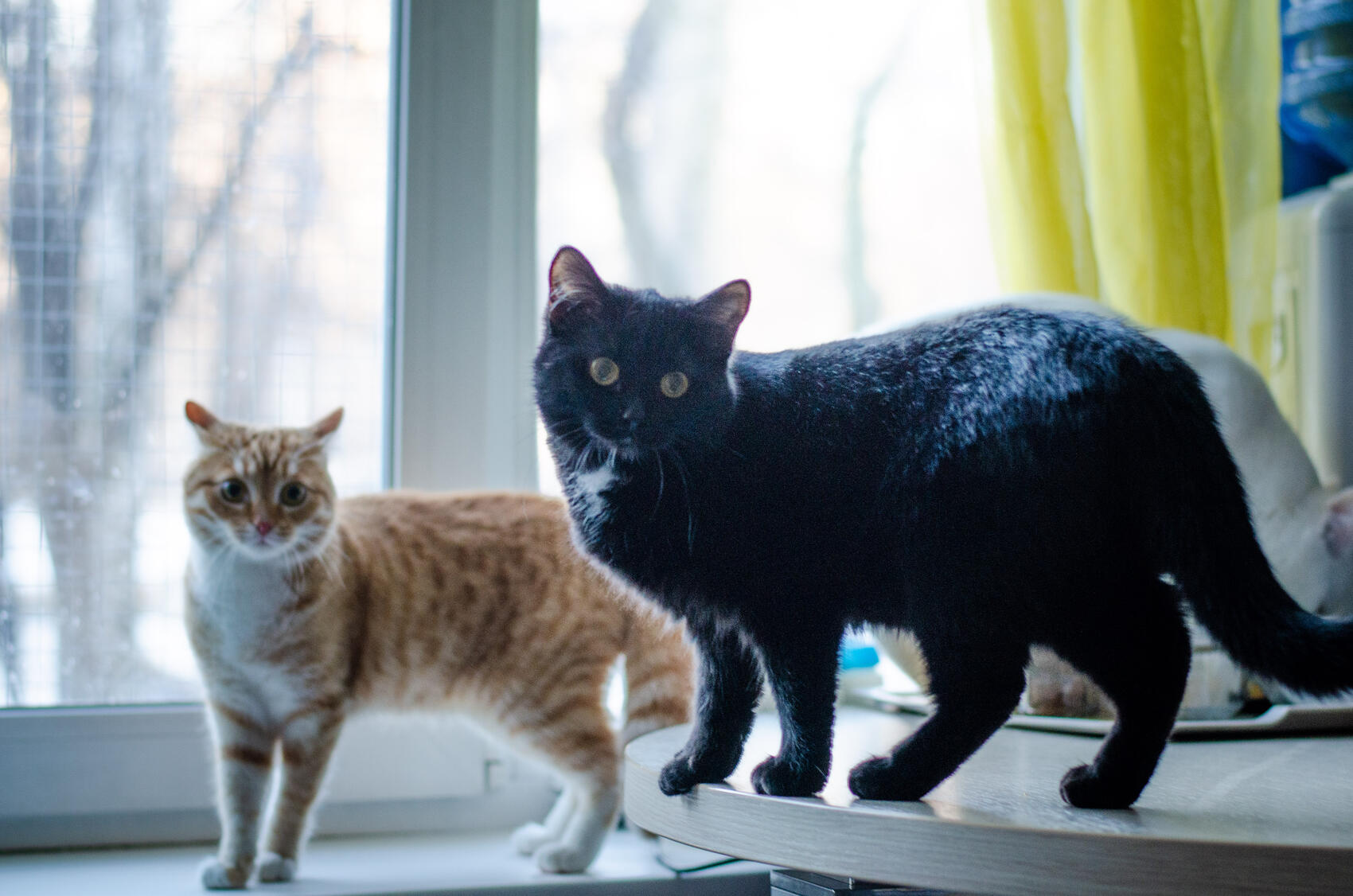 Фото: Евгения Кобеева / It’s My City