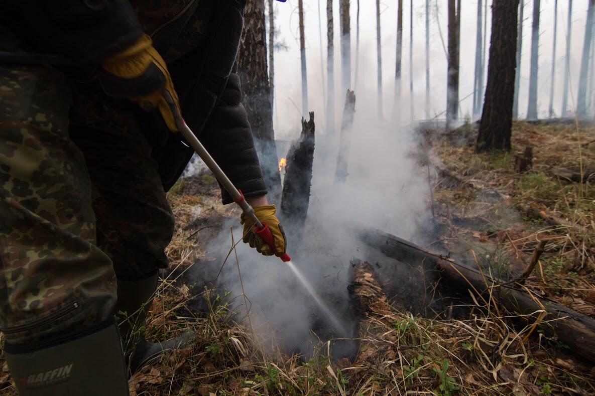 Фото: Елена Елизарова / It's My City