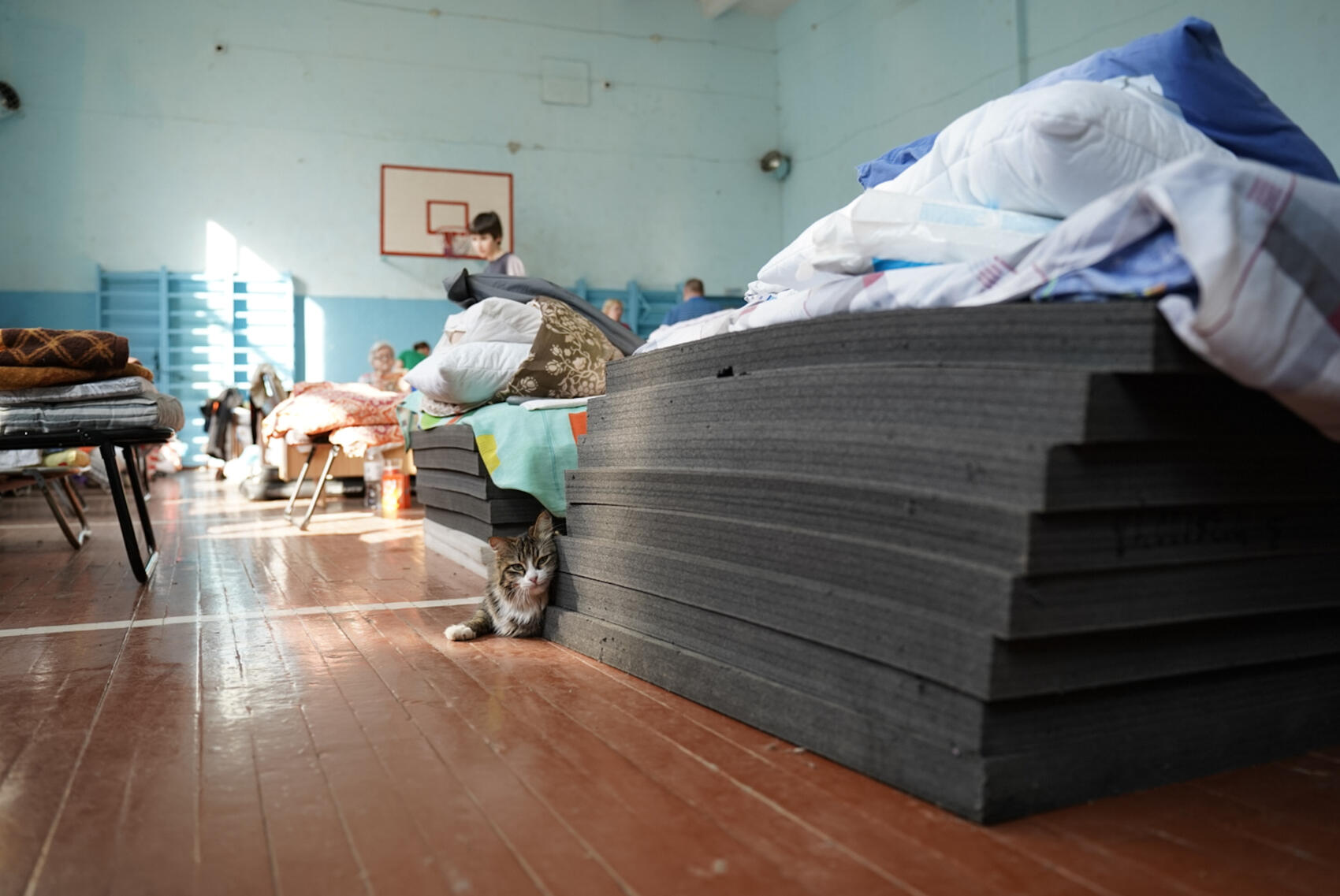 Фото: Елена Елизарова / It’s My&nbsp;City